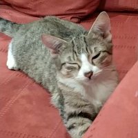 Banzai! (@banza2b) 's Twitter Profile