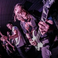 Forgotten Remains (@fremains) 's Twitter Profile