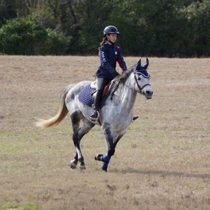 area 2 eventing|BN| stardust
💗
my journey from hunters to eventing..
proudly supported by @baysandbluesco @sunshineTreats
check out my instagram- @rj_eventing