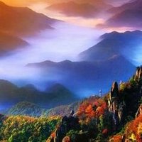 magzine (@raj85364055) 's Twitter Profile
