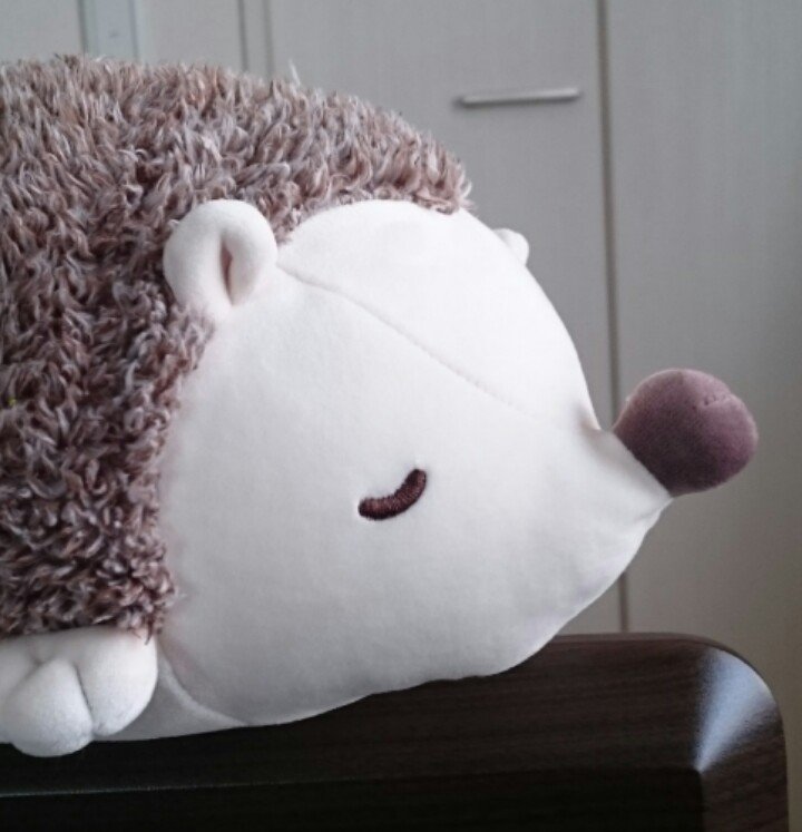 akira4084's profile picture. 娘 娘 マジバケ 米澤穂信 働かないふたり テニス 佐藤雅彦 ピアノ ニコニコ動画 株(雰囲気で) 数検1級 応用情報技術者 メーカー技術職 メカ屋 仕事 ヘトヘト 耐えかねて休職中