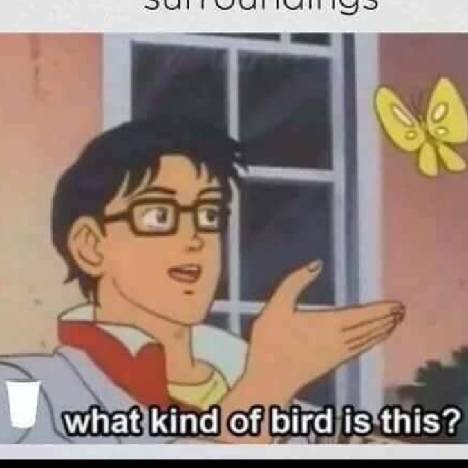 DankMemeDoug's profile picture. 