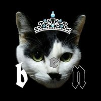 なみやん⚯🐢๑ (@aimer_rium_ray) 's Twitter Profile