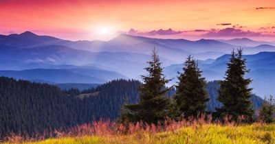 18Poddar's profile picture. 