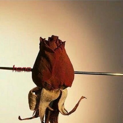 Kajebul81's profile picture. Mia