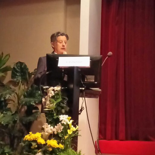 DonofrioRo's profile picture. 