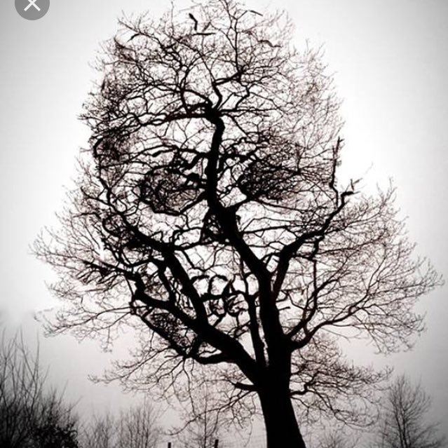 alphacity304's profile picture. NY to NJ to TX