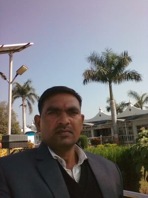 RameshC17555412's profile picture. News