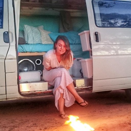 l___s___k's profile picture. 