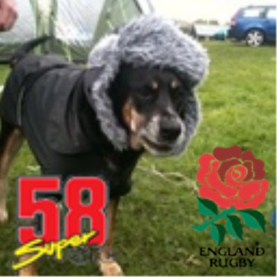 Benjowilko's profile picture. Mac geek. Big sports fan, ⚽️🦁#avfc #UTV 🏁 #F1 #LH44 #teamLH 🏍 #motogp #MM93