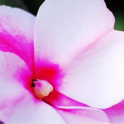 FEDLeo3745's profile picture. 2024年
程式設計師、攝影愛好者、見習詠唱者。