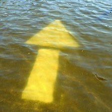 Walk thinking different. Advance in neuroblocks. Develop internal processes. Observe. Analyze. Intuit. Dream. Create. Share. Improve. This is me. Time to live.