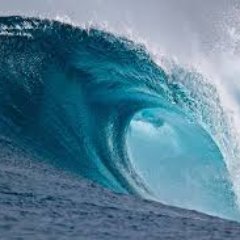 Blue Wave 2018 Profile