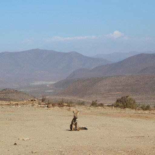 victorcandiae's profile picture. 