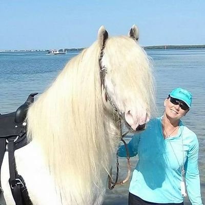 Experience  horseback riding adventure on our beach horses. Beautiful horses are rescued rehabbed trained & happy Gypsy Horses. Every ride saves this rare breed