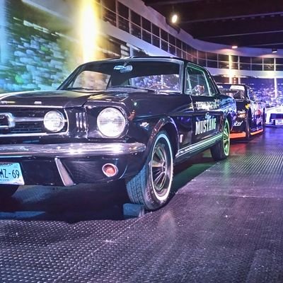 Miguelgl0111's profile picture. 