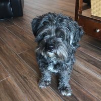 Karen (@mtsd_mathcoach) 's Twitter Profile