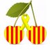 Ceret en català ! 🎗️🌊 (@ceretencatala) Twitter profile photo