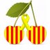 Ceret en català ! 🎗️🌊 (@ceretencatala) Twitter profile photo Ceret en català ! 🎗️🌊 (@ceretencatala) Twitter profile photo