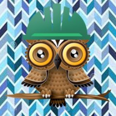 Technovation18's profile picture. 