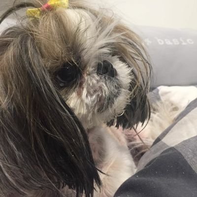 ddr2830's profile picture. 