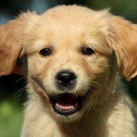 Harlow (@angryinagoodway) 's Twitter Profile Photo Harlow (@angryinagoodway) 's Twitter Profile Photo