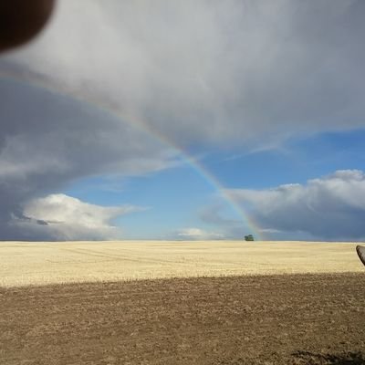 murray_janis's profile picture. 