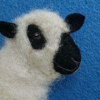 Sheep In Stitches(@sheepinstitches) 's Twitter Profile Photo