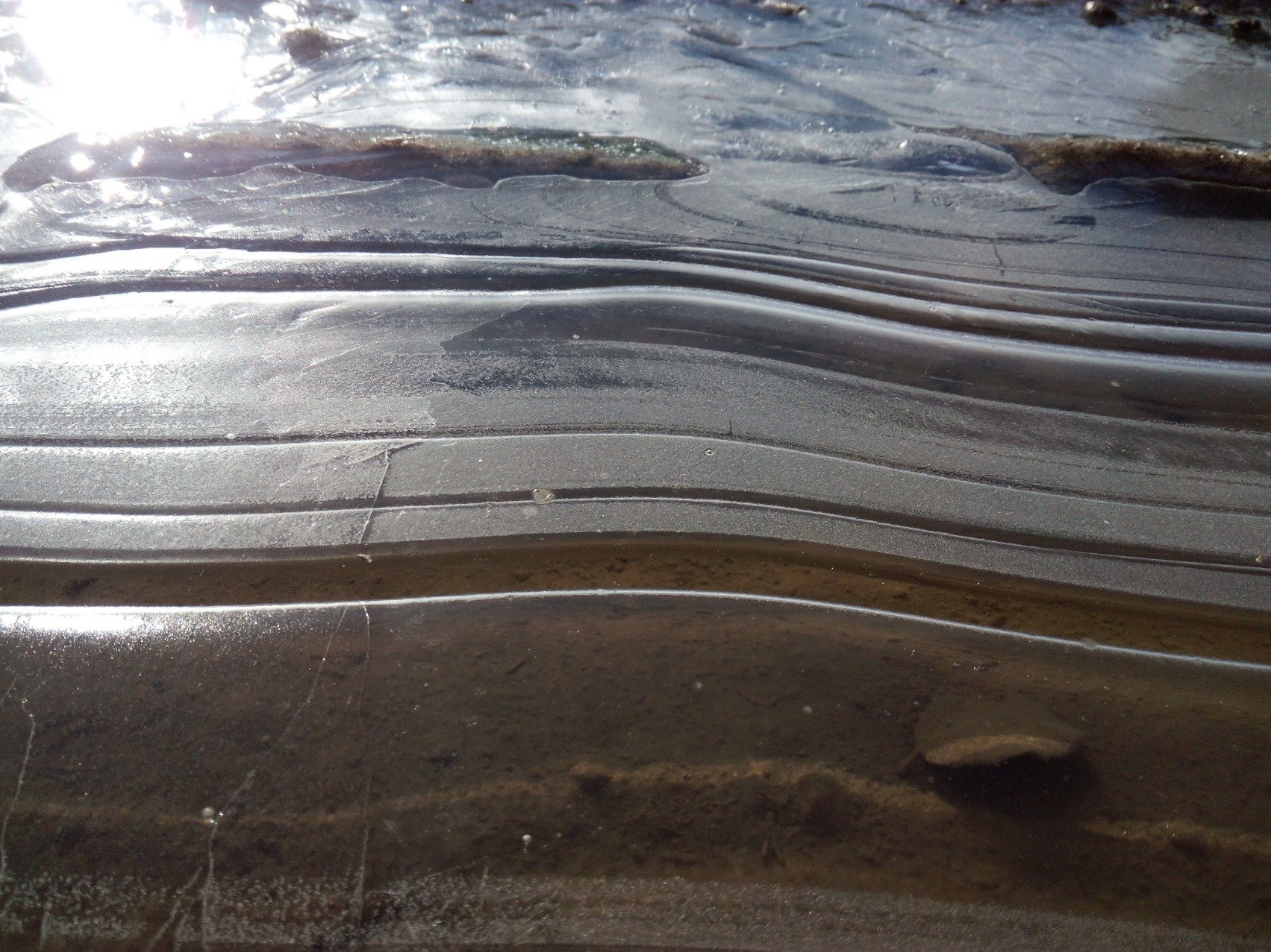 aullandoentrla1's profile picture. 