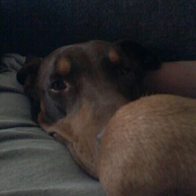 BraxtonPalmer1's profile picture.