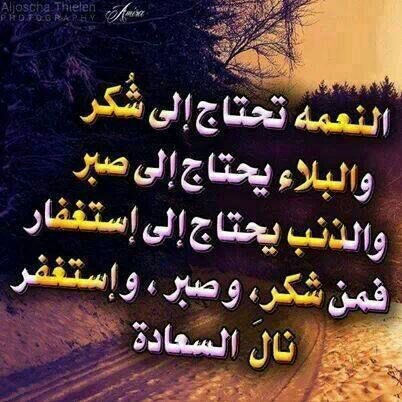 wd20092011's profile picture. 