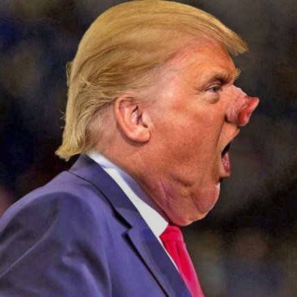 Tiny_Hand_Trump's profile picture. Unofficial account of https://t.co/TEyKaFLNLK. We tweet about Trump because he's a chump!