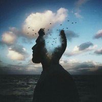 تايه آڤندي (@elfashel2) 's Twitter Profile