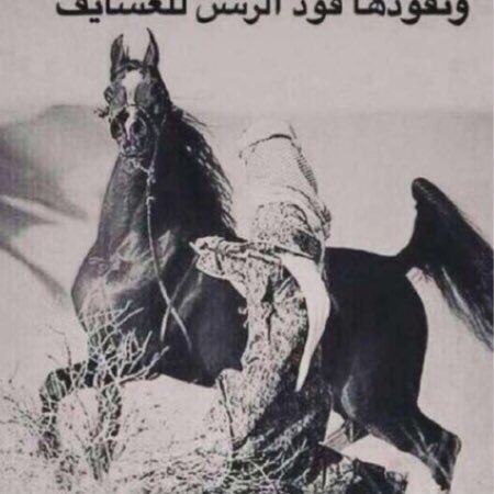 yaser7666's profile picture. 