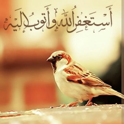 الحمد لله حتى يبلغ الحمد منتهاه اجمل صور دعاء الحمد لله حمدا كثيرا حتى يبلغ الحمد منتهاه ووردز
