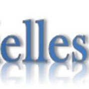 Plurielles 34 (@plurielles34) 's Twitter Profile