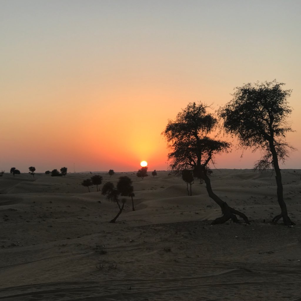 Didi12058276's profile picture. 