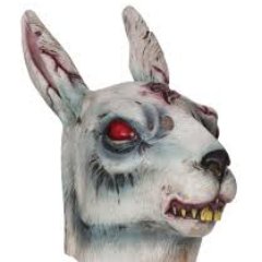 11LittleBunnies's profile picture. WTF