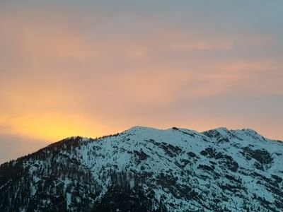 Juel54746208's profile picture. 