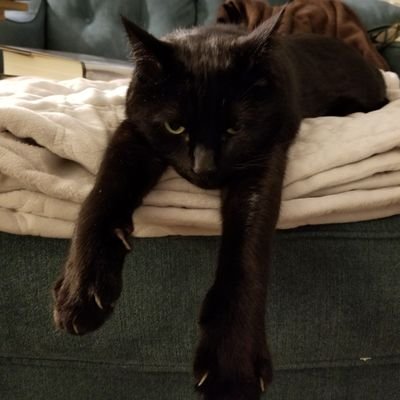 Speculative fiction reviews and more!
Maintained by @lrich1024. Also loves cats and tea.