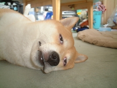 KMJ0915's profile picture. 