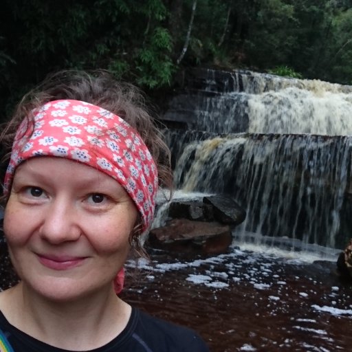 Ecosystem ecologist in search of carbon in forests and peatlands