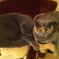 Jane Guy (@guyjane) 's Twitter Profile Photo