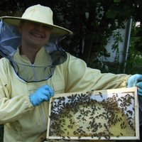 Janina Muench (@beecurieous) 's Twitter Profile