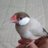 まさ51のアイコン