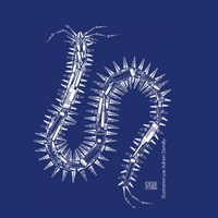 StemDevEvo (@stemdevevo) 's Twitter Profile Photo StemDevEvo (@stemdevevo) 's Twitter Profile Photo