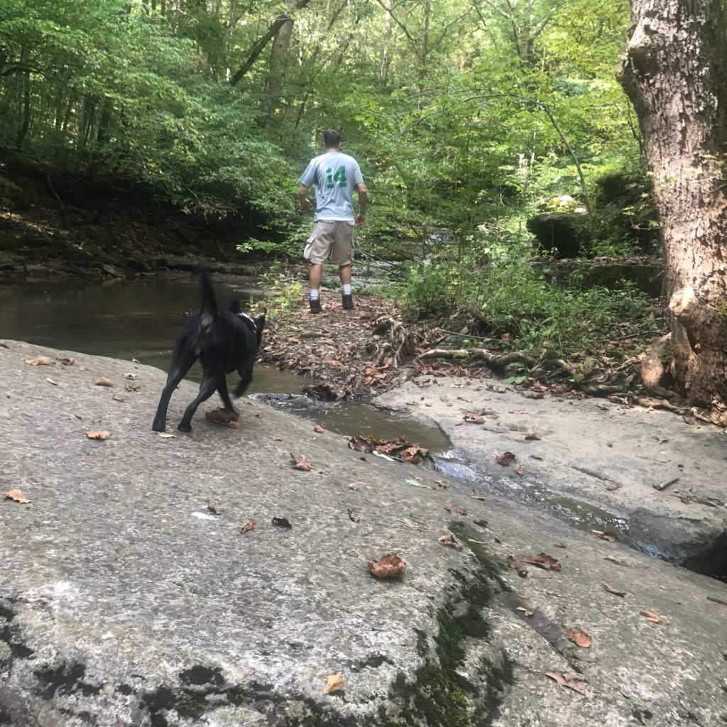 winkleberry_'s profile picture. Centre College ‘17 ⚽️ | YNWA | Follower of the one true Klopp