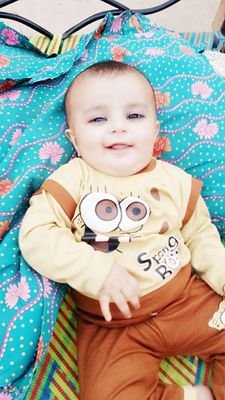 waheed49417316's profile picture. waheed