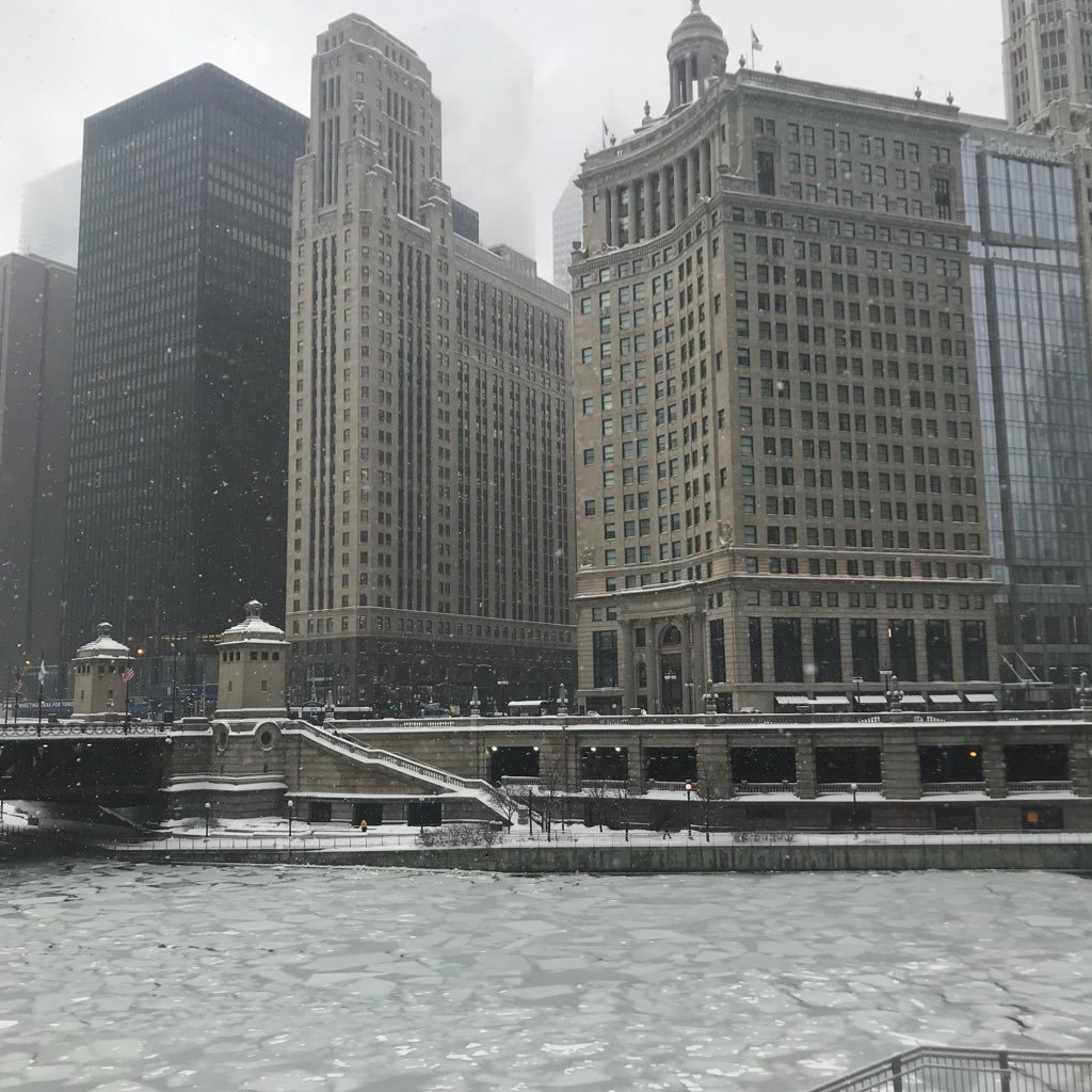 cyberwatch101's profile picture. 