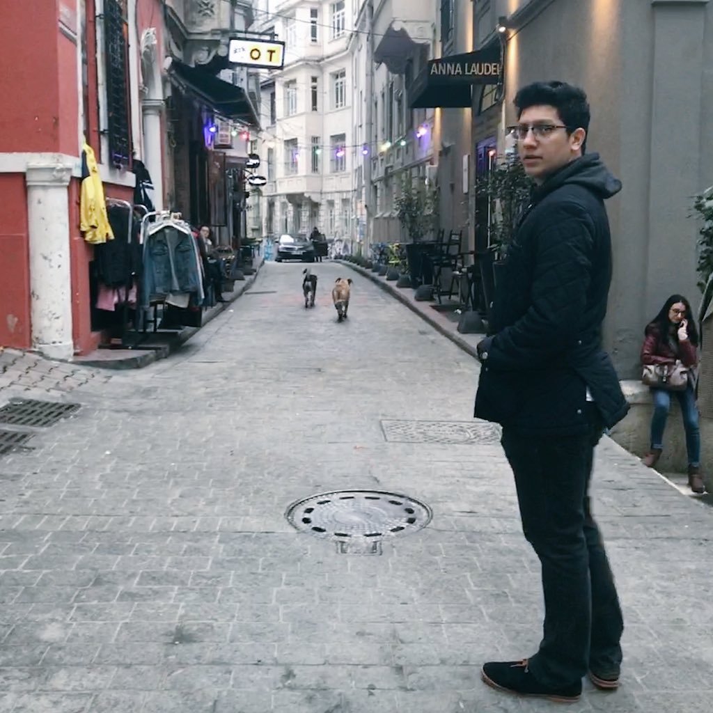 DogaHcss's profile picture. 